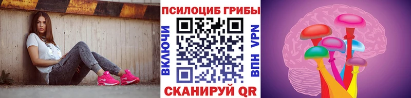 Псилоцибиновые грибы Psilocybe  закладка  Ачинск 
